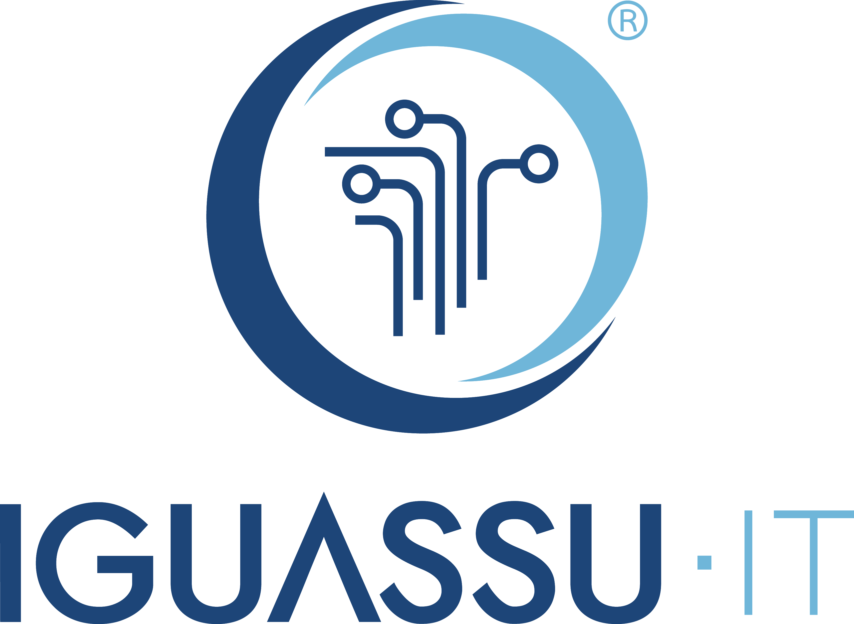 Iguassu IT Logo